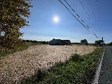 Everlast Landscape Group LLC photo 4