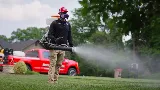 Steve's Pest Control photo 4
