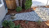 Rapid Lawn Landscape Solutions Ltd. photo 6