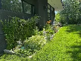Halt Pest Control Ltd photo 6