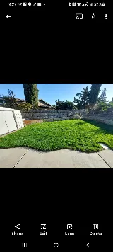 Empire Landscaping Company LLC