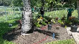 The Landscaping People Inc photo 8