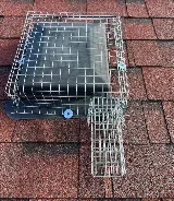 Bug Managers Pest Control photo 4