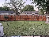 Plano Landscaping photo 4
