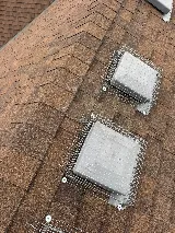 Quality pest control gta Richmond hill photo 4