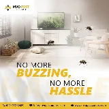 MVO Pest Control photo 2