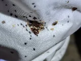 Major Pest Control Red Deer Inc photo 7