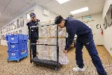 Halton, Hamilton & Niagara Moving Company - AMJ photo 3