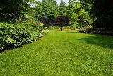 Cobra Landscape & Snow Removal Ltd. photo 8