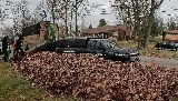 Sawyer's Lawn Care Service photo 8