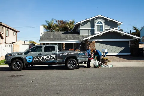 Savior Pest Solutions photo 1