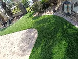 Elite Coastal Landscaping LLC photo 8