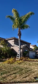 Prowess Landscaping Maintenance Inc. photo 4