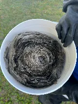 Viking Pest Management Inc. photo 6