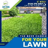 Save Aqua Landscapes LLC