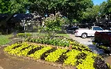 Shaw Landscaping photo 2
