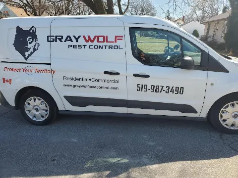 Gray Wolf Pest Control photo 1