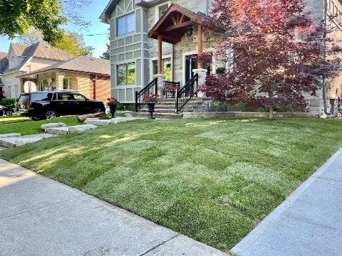 CJS Landscaping photo 1