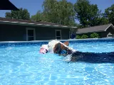 Illini Pools