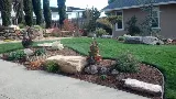 Pro Landscaping of Chula Vista photo 3