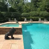 Dive In Pool Service Inc photo 6