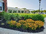 Blue Sparrow Lawn and Landscape, LLC