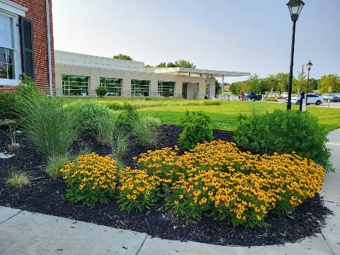 Blue Sparrow Lawn and Landscape, LLC photo 1