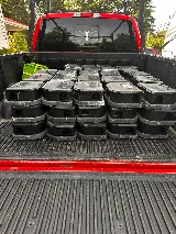 Scotia Pest Solutions photo 6