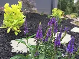 Mr. Outdoor Living photo 7