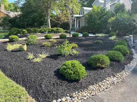 Must Lawn & Landscape LLC in Cincinnati