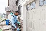 Insight Pest Solutions photo 3