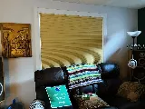 Cover Your Windows