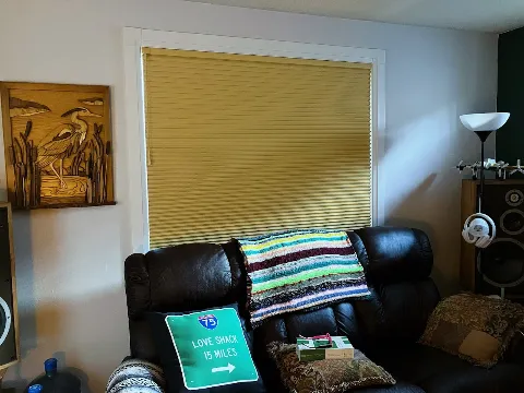 Cover Your Windows in Red Deer