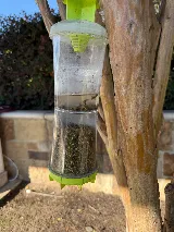 Peace of Mind Pest Control Inc photo 4