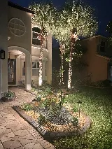 Bloom Landscaping photo 5