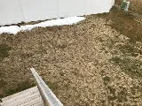 Advantage Pest Control photo 4