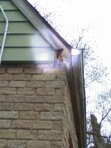 Humberto's Pest Management Services photo 6