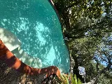 Hurst Pool Service photo 5