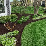 Terra Garden Svcs photo 6