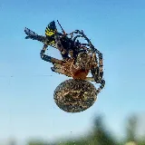 Enviro-Pro Professional Pest Management, Inc photo 5