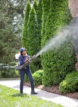 Rocket Pest Control photo 4
