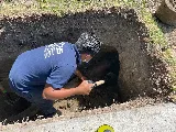 John's Plumbing & Drain Services photo 7