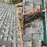 Solar Stan Solar Cleaning & Pigeon Eviction photo 3