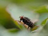 PestX Bakersfield Termite & Pest Control photo 7