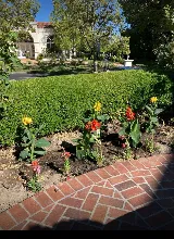Green Guru Gardening, Landscaping & Esthetics photo 3