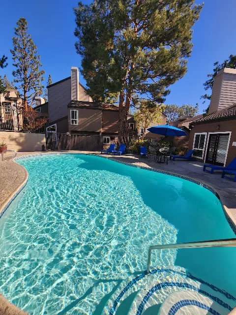 Dye Pool Company, Inc. photo 1