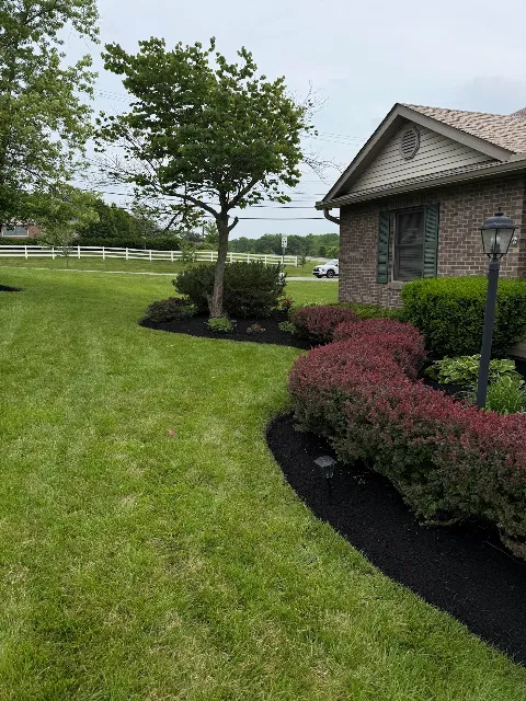 Bears Landscaping Columbus photo 1