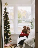 Argon Windows & Home Improvements photo 4