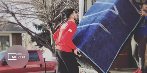 Denver Professional Movers photo 1