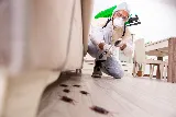 Active Pest Control Richmond
